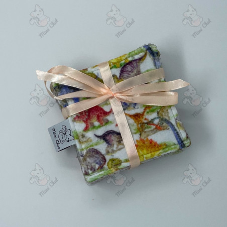 Lot de 10 lingettes - Dinosaure